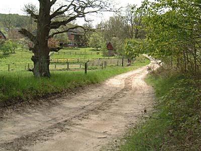 Foto: Mittelbach